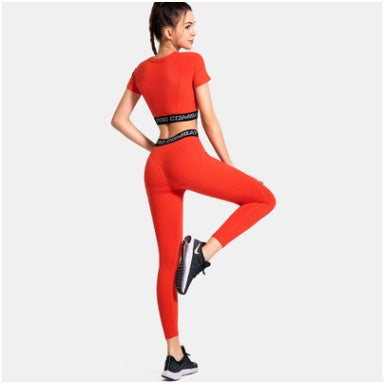 Gym Running Tights