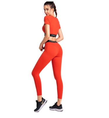 Gym Running Tights